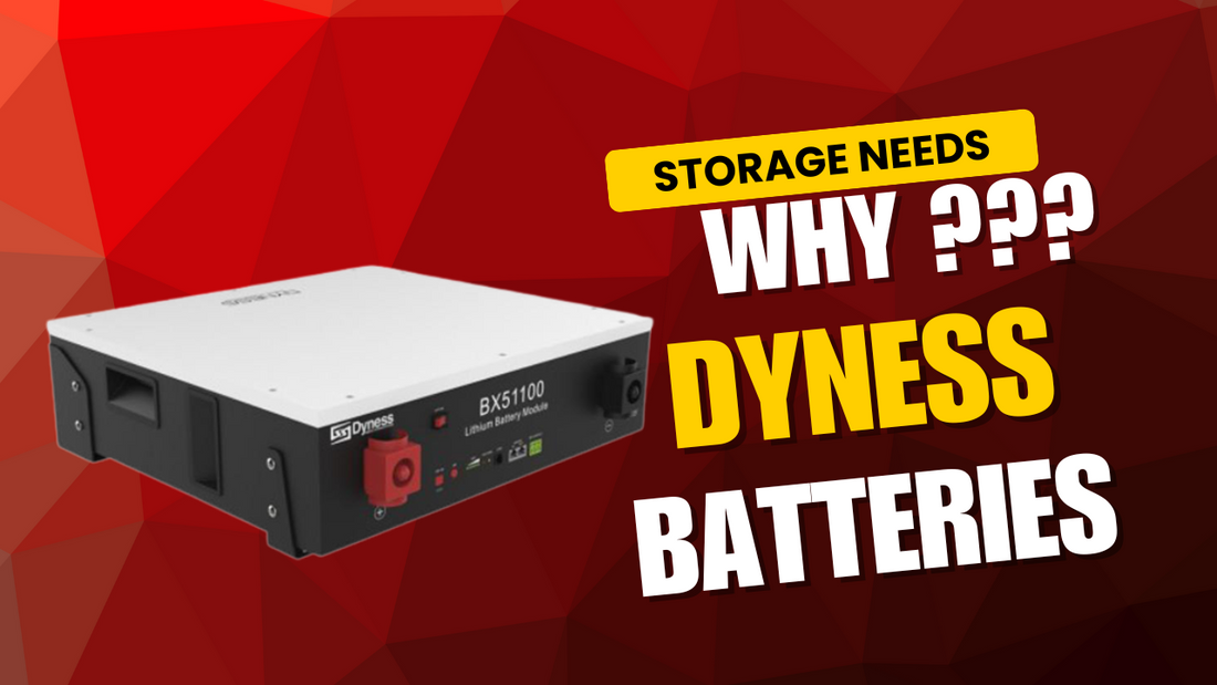 Why Choose Dyness Batteries for Your Energy Storage Needs?