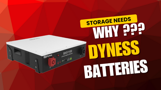 Why Choose Dyness Batteries for Your Energy Storage Needs?