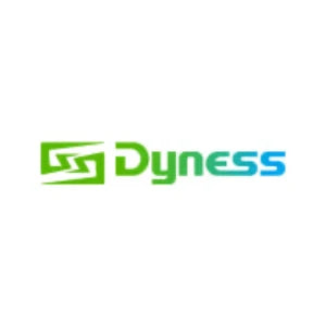 Dyness