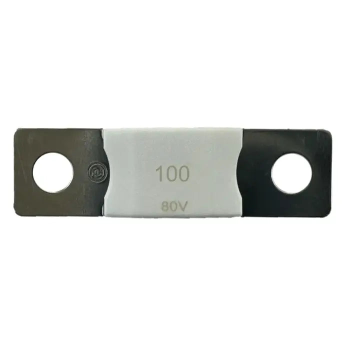 MEGA-fuse 100A/80V (package of 5 pcs)