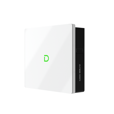 Dyness Powerbox G2 10.24kWh LV LFP Battery