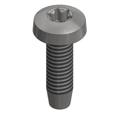 VDV Stainless Steel Thread-forming Bolt M6x20mm - T30